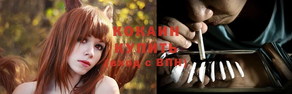 спайс Гвардейск
