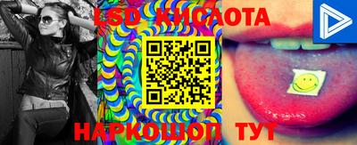 скорость Аргун