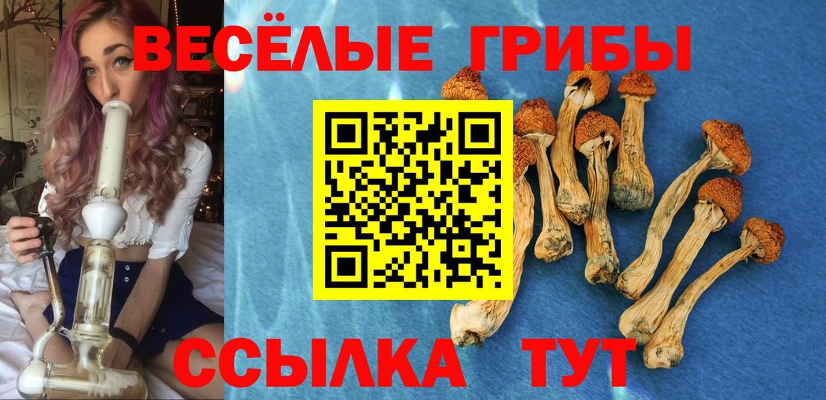 Псилоцибиновые грибы мухоморы Светлоград